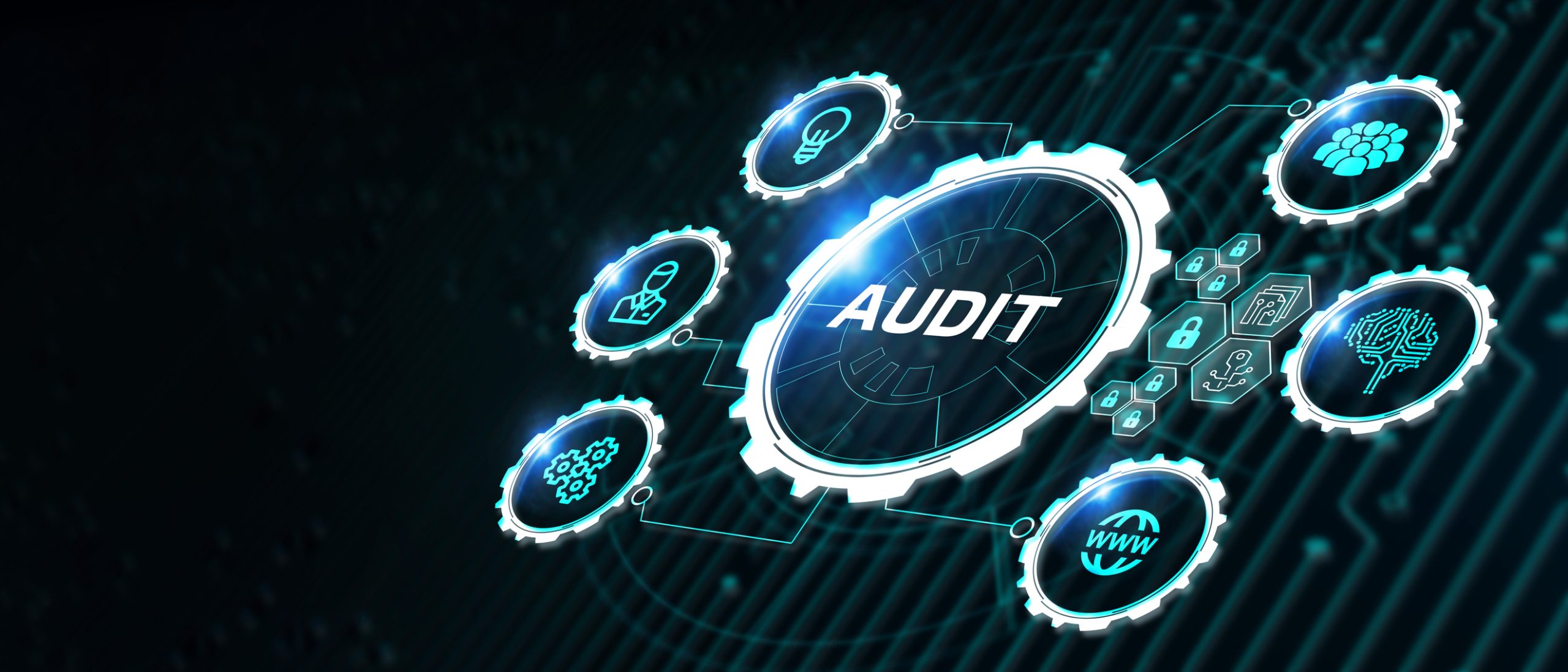 Network Audit