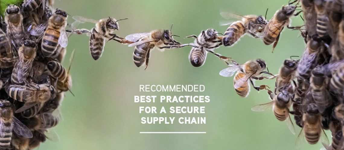 Cyber Supply Chain Risks